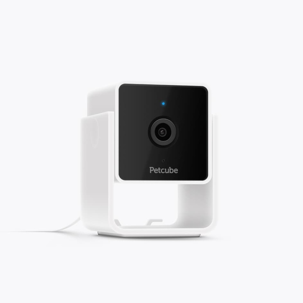 Petcube White and Black Camera